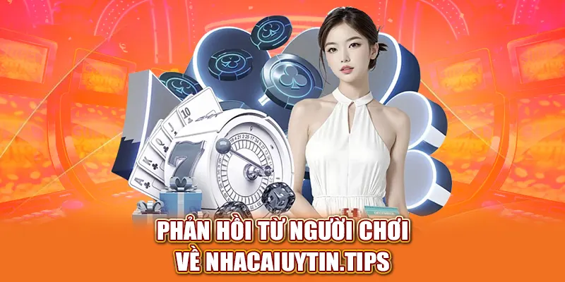 Phản hồi từ người đọc về Nhacaiuytin.tips