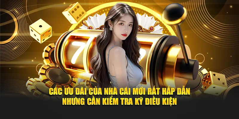Các ưu đãi của nhà cái mới rất hấp dẫn nhưng cần kiểm tra kỹ điều kiện
