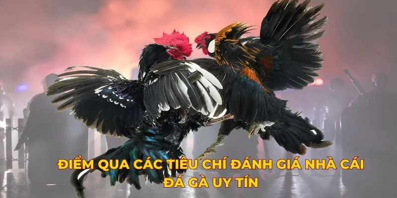 Điểm qua các tiêu chí đánh giá nhà cái đá gà uy tín