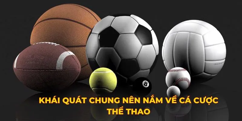 Khái quát chung nên nắm về cá cược thể thao