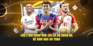 Lưu Ý Khi Chọn Nhà Cái Cá Độ Bóng Đá