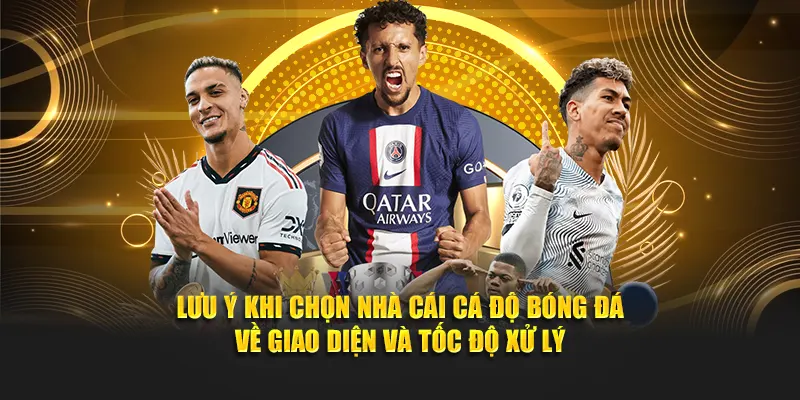 Lưu ý khi chọn nhà cái cá độ bóng đá về giao diện và tốc độ xử lý